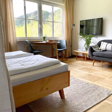 Apartmenthaus Eisenstrasse Appartement