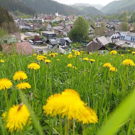 Apartmenthaus Eisenstrasse Apartment