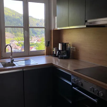 Lägenhet Apartmenthaus Eisenstrasse *