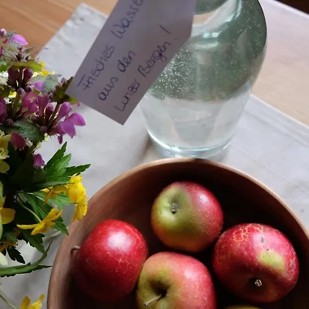 Apartmenthaus Eisenstrasse * Lunz am See