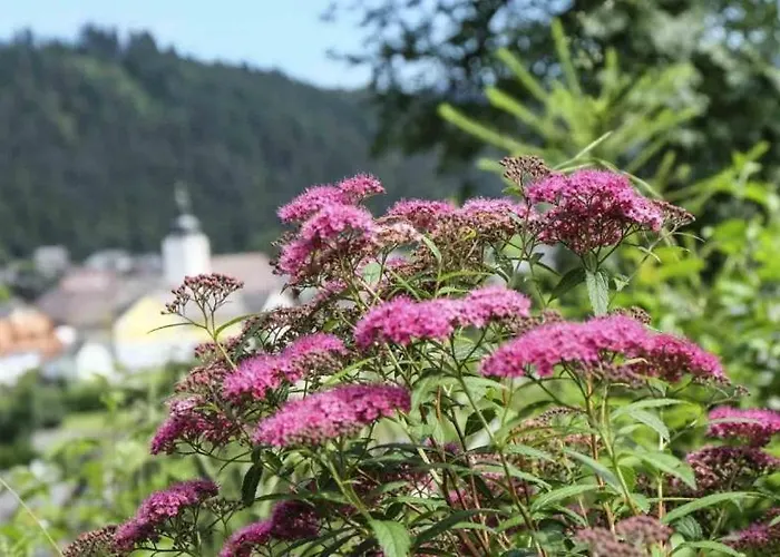 Lägenhet Apartmenthaus Eisenstrasse *