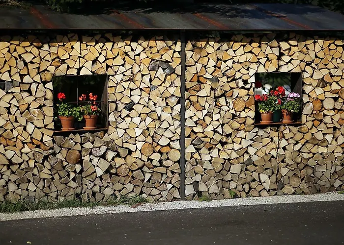 Apartmenthaus Eisenstrasse 滨湖伦茨